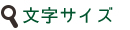 サイトのフォントサイズを変更する